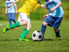 绝密秘籍,期大乐透精,选号码预测,中国竞彩网,中国竞彩网官方,中国竞彩网公司,中国竞彩网中心,中国竞彩网团队