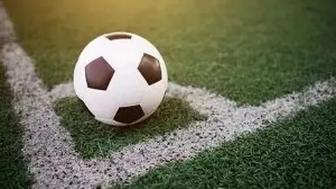 【双色球2025139期】独家揭秘：折耳猫大师精准杀号，红球定胆攻略，超级中奖秘籍大放送！