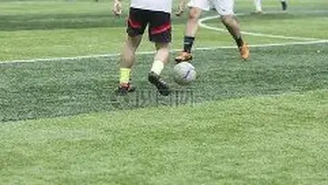 【彩界女神揭秘】3D第2026023期绝密预测：专家精准锁定六注必杀号码——269，惊喜连连，不容错过！