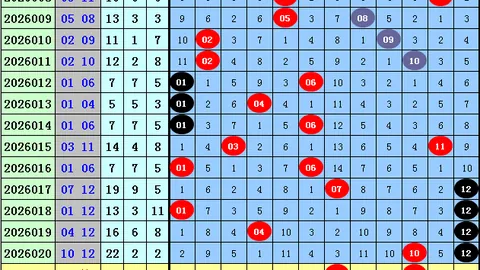 第2026062期 2026062期大乐透专家质合推荐前区十